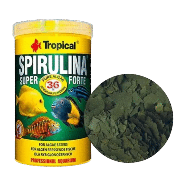 Ração Super Spirulina Forte Flakes