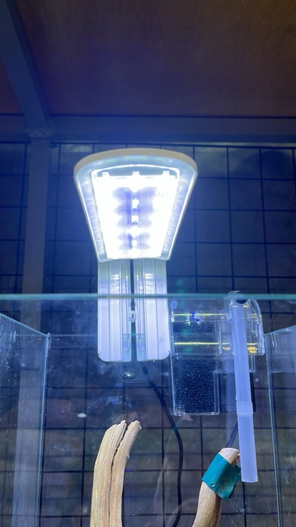 LUMINARIA JANECA - Imagem 3