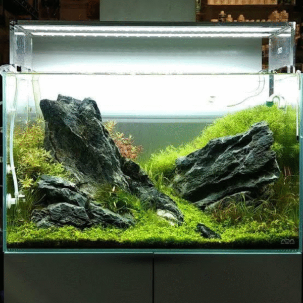 Rocha Seiryu stone - Imagem 2